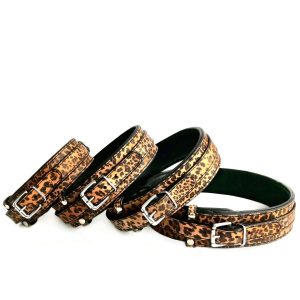 Hundhalsband Leo dubbel
