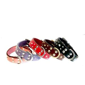 Hundhalsband Bon