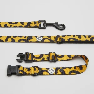 Kit med halsband