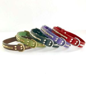 Hundhalsband Cleo