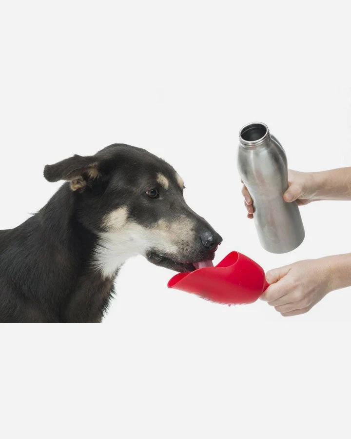 KONG H2O Vattenflaska - Svart - Bild 3