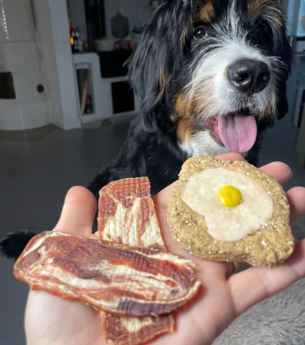 Bacon N Eggs | Hundgodis - Bild 2