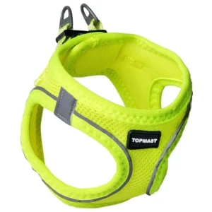 Hundsele Neon Click & Go