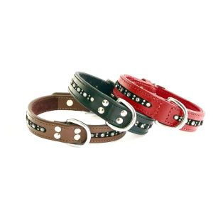 Hundhalsband Gale