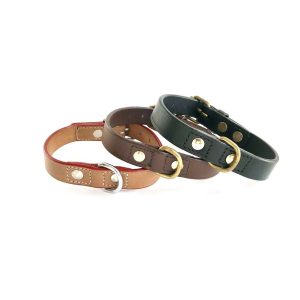 Hundhalsband Tess