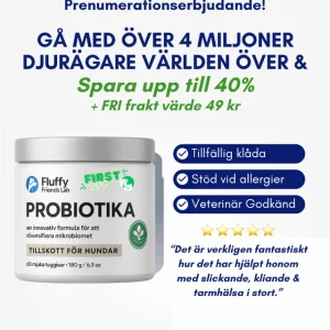 3-i-1 Probiotika Som Löser Din Hunds Mag-, Hud- & Energiproblem