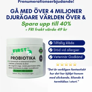 3-i-1 Probiotika Som Löser Din Hunds Mag-, Hud- & Energiproblem