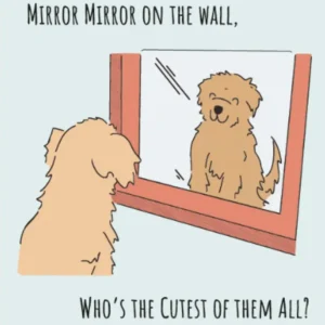 Ätbart Vykort Mirror Mirror | Hundgodis Bacon