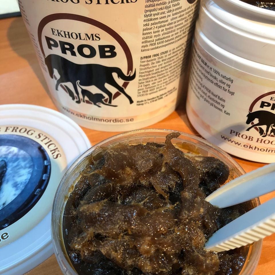 OUTLET PROB FROG STICKS Med propolis och kåda - Bild 6