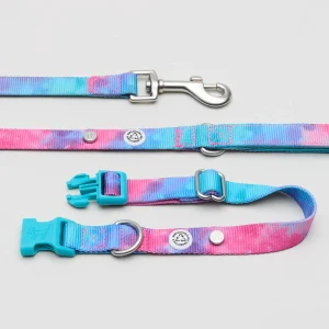 Kit med halsband