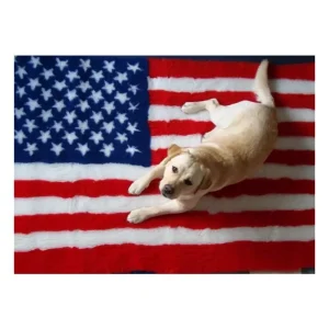Hundfäll USA