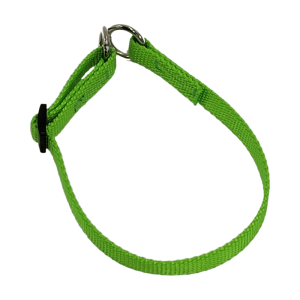 Pudelhalsband | Nylonshalsband