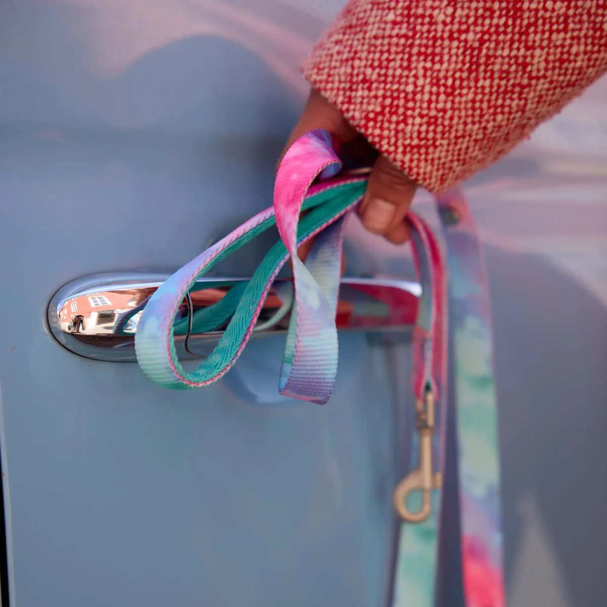 Kit med halsband - Bild 3